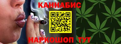 СК Гатчина