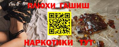 СК Гатчина