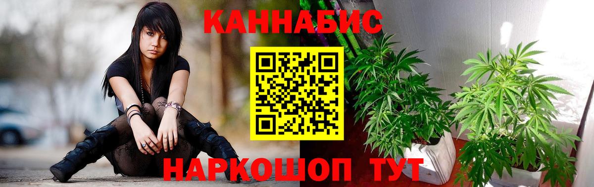 Бошки Шишки семена Мурманск